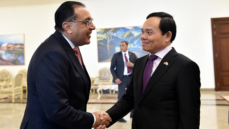 Egypt pledges best possible conditions for Vietnamese business operations